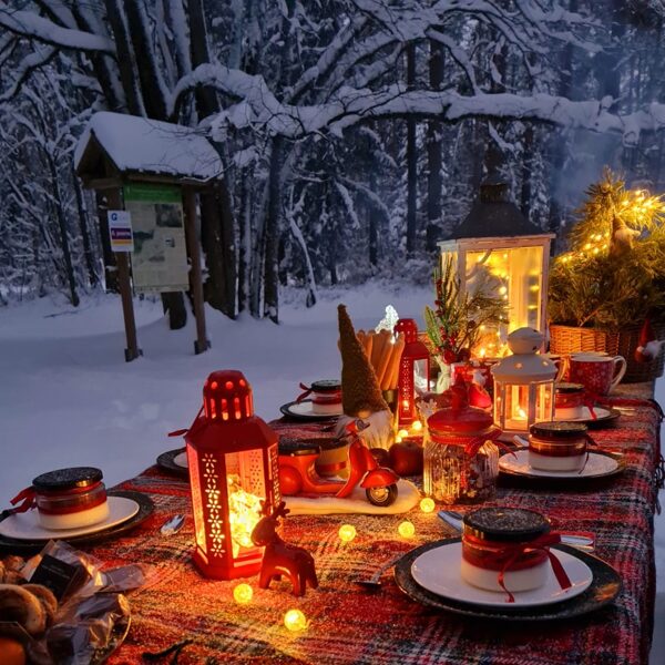 Ziemas pikniks
