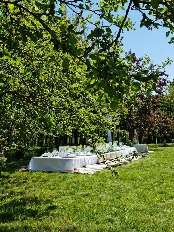 Pikniks ābeļziedos
